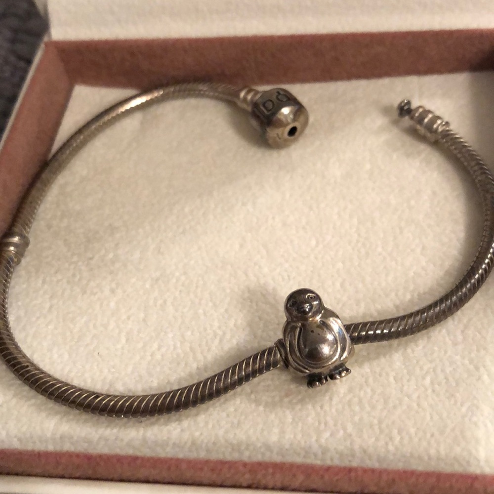Pandora Bracelet and Penguin Charm